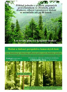 Prales- Výběrný les